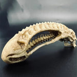 3D Printed Xenomorph Alien Skull
