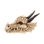 Fantasy Skull Dragon Skull Trinket Box