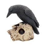 Raven Remains Crow Skull Figurine