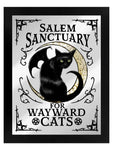 Framed Salem Sanctuary For Wayward Cats Mirrored Tin Sign