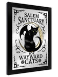 Framed Salem Sanctuary For Wayward Cats Mirrored Tin Sign