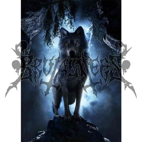 Nightfall Wolf Poster Print