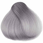 Sylvia Silver Hair Dye